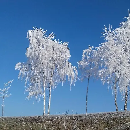 House Of Nature Tajhte