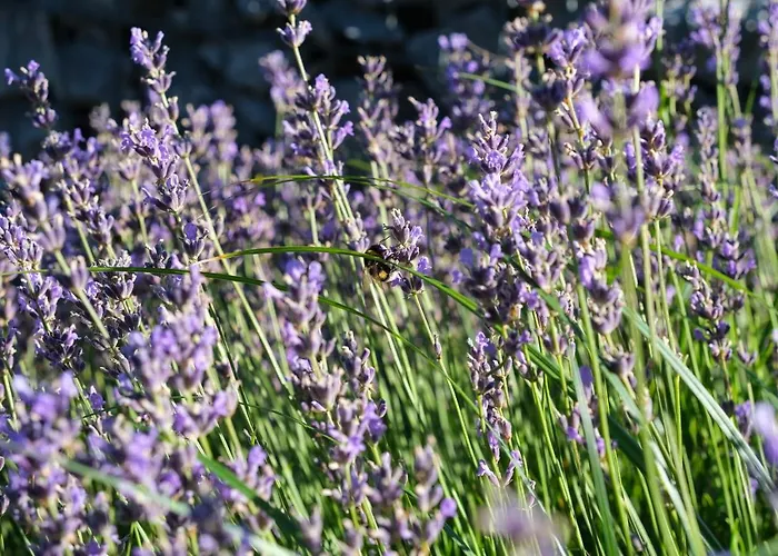 シャレー House Of Nature Tajhte
